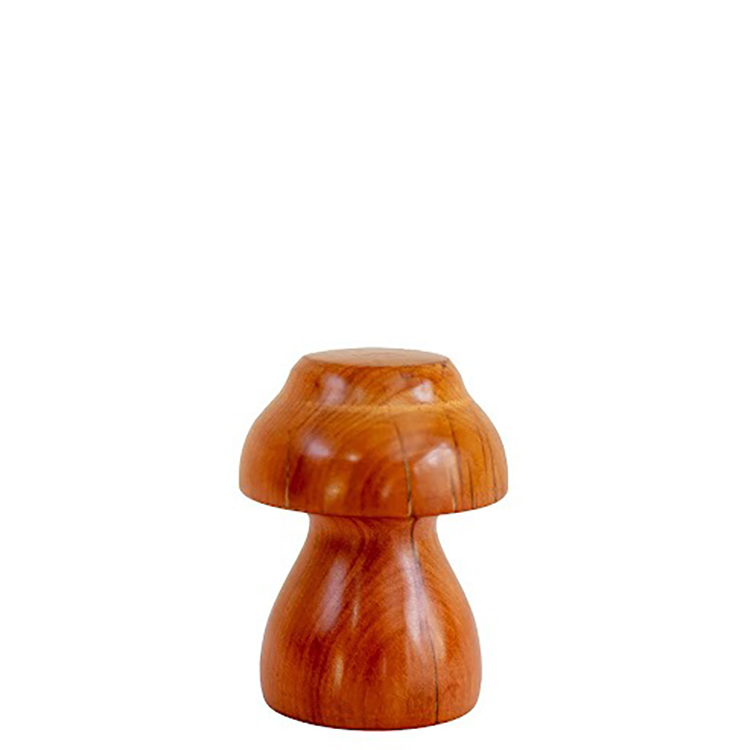 COGUMELO MADEIRA PP 229540