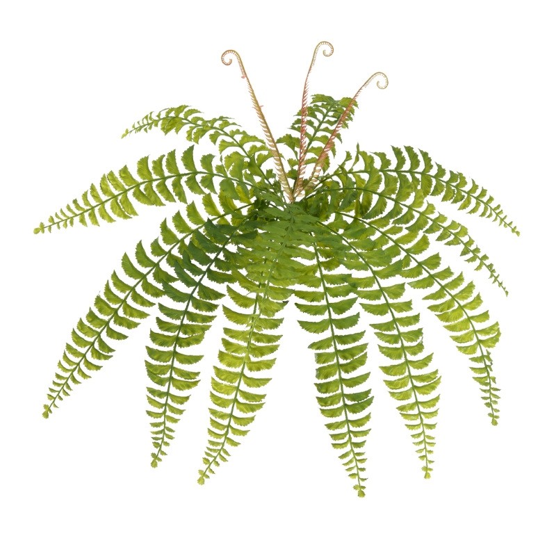 F.SAMAMBAIA C/PRINT PLASTICO X12 (VERDE) 60cm (FLORARTE) Vol. 1 a 8
